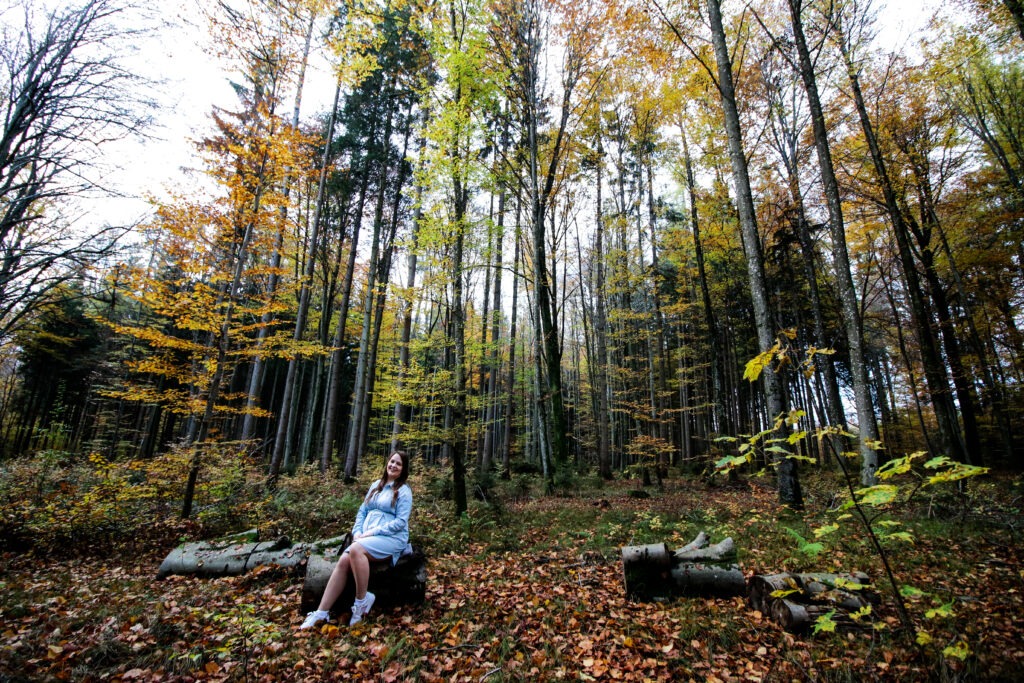 Schwangerschaftsreportage - Wald