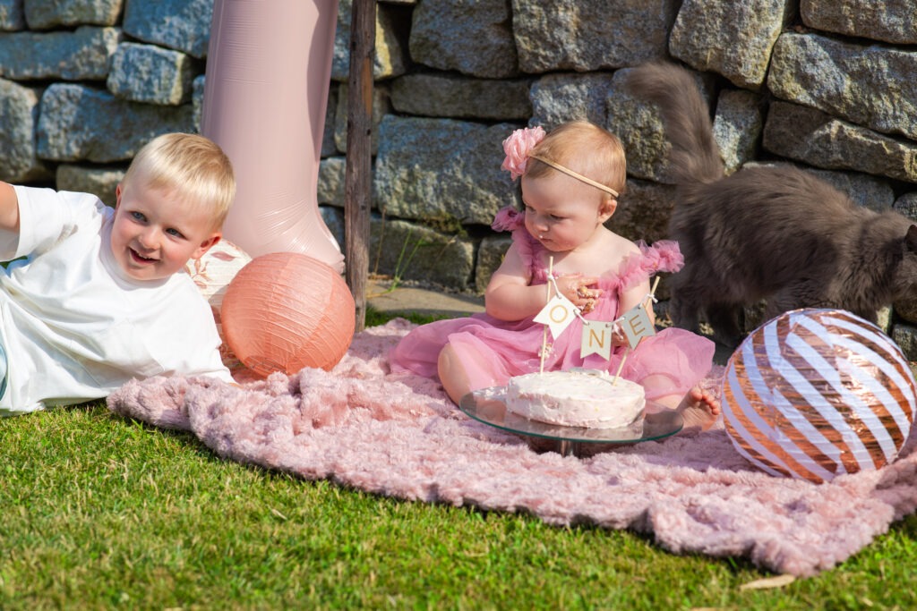 Cake Smash Reportage - Pink little Girl